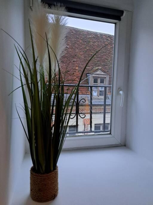 Confortable Studio Renove 康布雷 外观 照片
